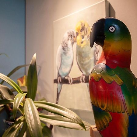 Apartament U Olechny 5 Bydgoszcz Eksteriør billede