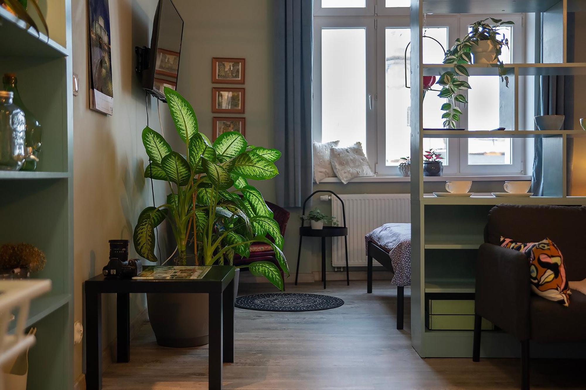Apartament U Olechny 5 Bydgoszcz Eksteriør billede
